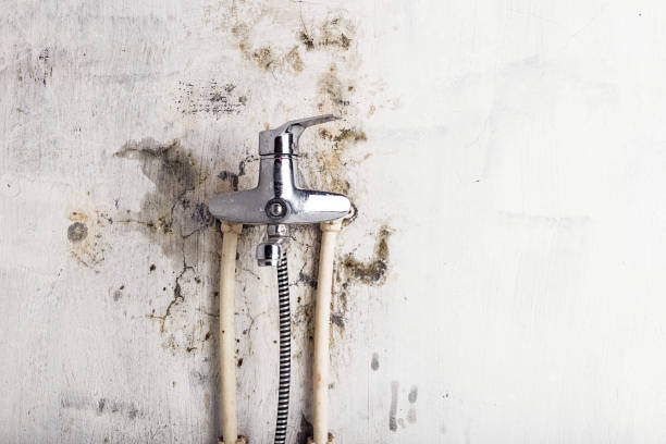 Mold Testing and Removal in Prairie Du Sac, WI