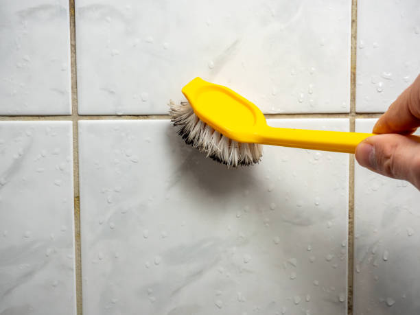 Best Fast Mold Removal  in Prairie Du Sac, WI