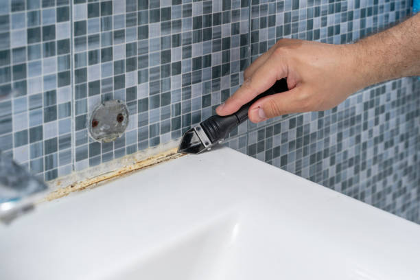 Mold Removal Process in Prairie Du Sac, WI