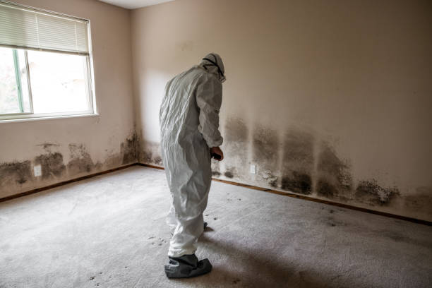 Best Office Mold Removal Services  in Prairie Du Sac, WI