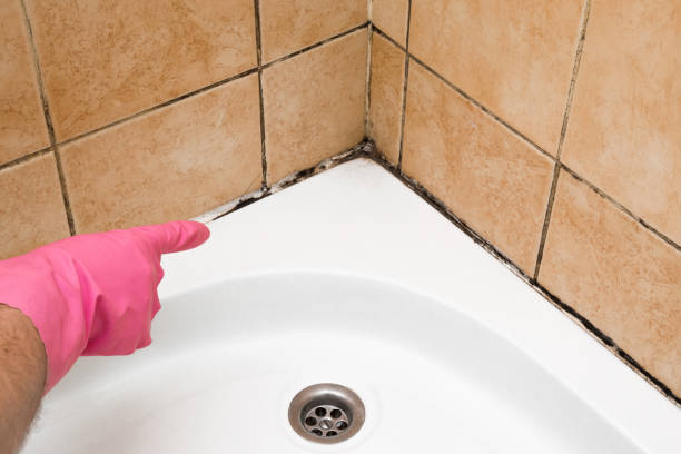 Best Mold Damage Repair  in Prairie Du Sac, WI